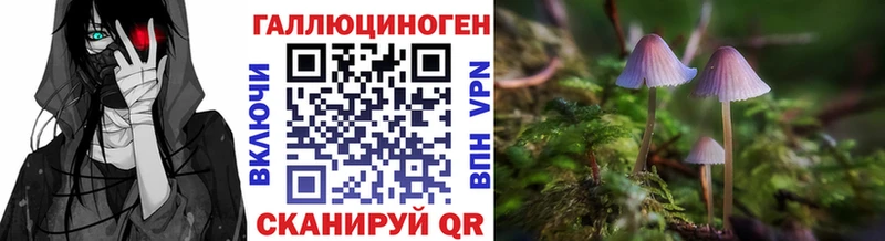 Псилоцибиновые грибы ЛСД  Купить  Катайск 